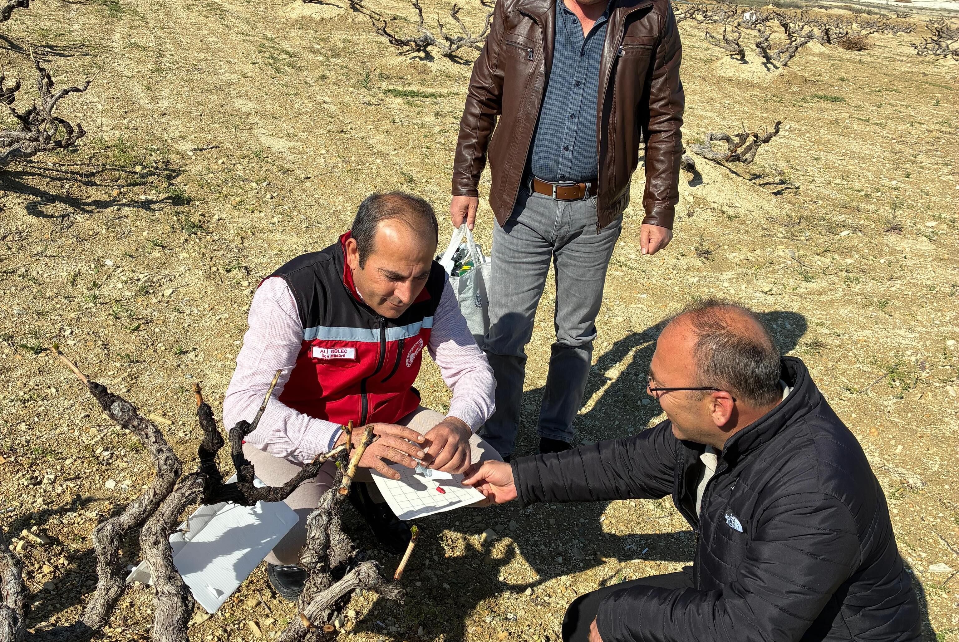 683813365 18188798752371746 6389637617858103377 N