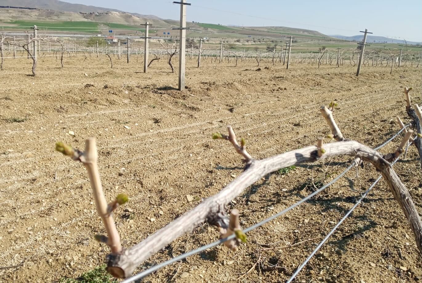 684235965 18188798764371746 4069931217859242580 N