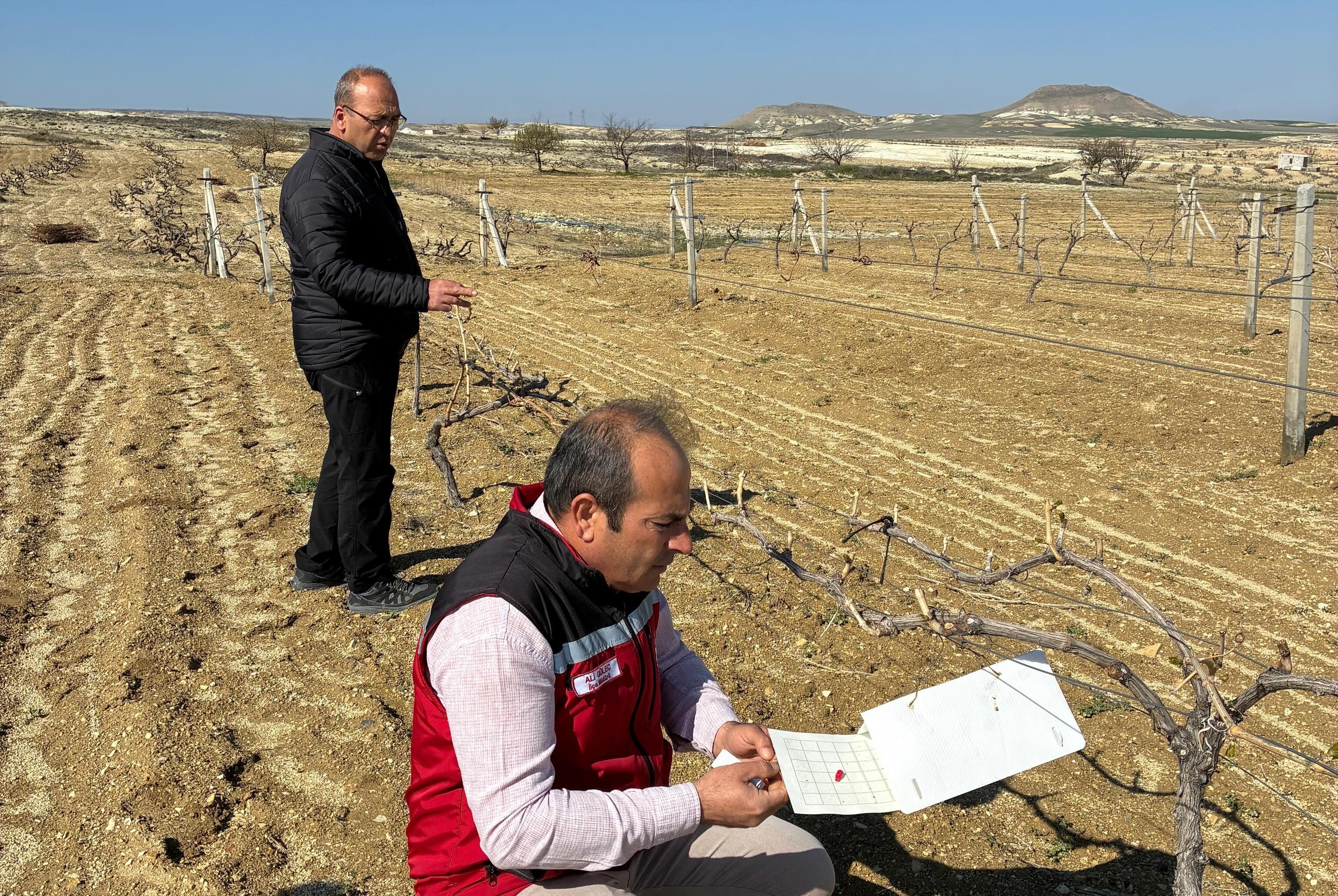 684264469 18188798797371746 7155776605527731445 N