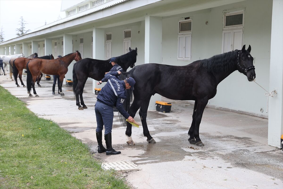 A A 20260416 41119581 41119563 J A N D A R M A N I N S A H A D A K I Y A R D I M C I L A R I Z O R L U E G I T I M D E N G E C I Y O R-1