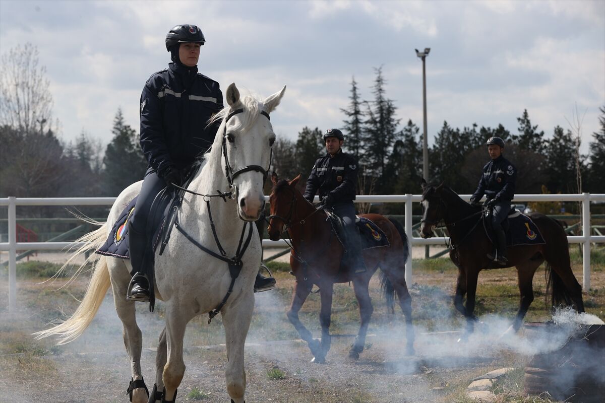 A A 20260416 41119581 41119577 J A N D A R M A N I N S A H A D A K I Y A R D I M C I L A R I Z O R L U E G I T I M D E N G E C I Y O R