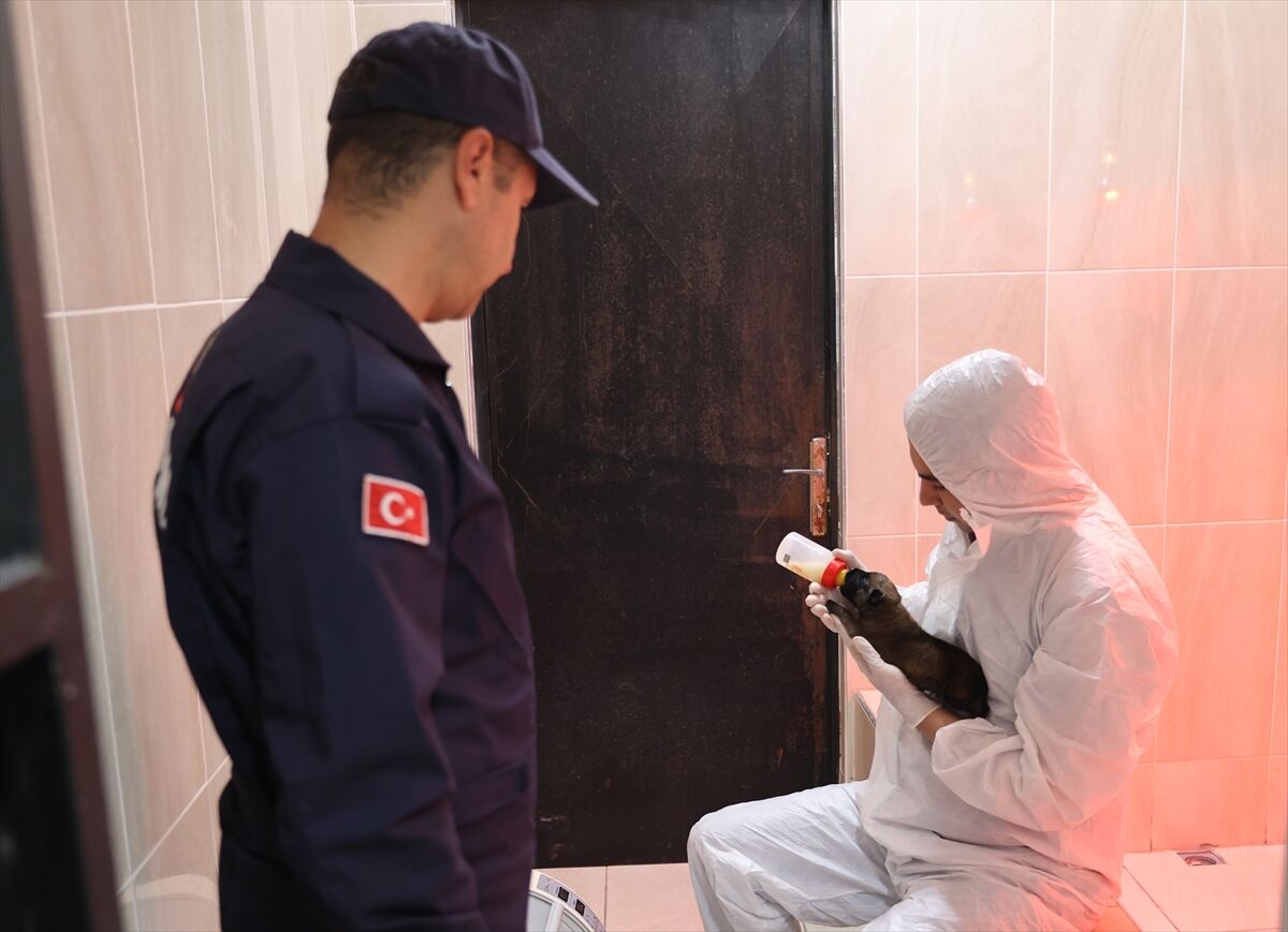 A A 20260416 41119675 41119665 J A N D A R M A N I N S A H A D A K I Y A R D I M C I L A R I Z O R L U E G I T I M D E N G E C I Y O R