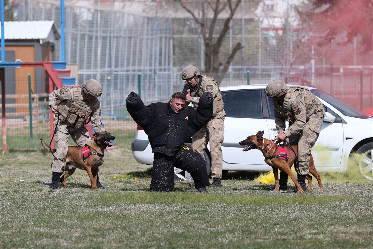 A A 20260416 41119675 41119668 J A N D A R M A N I N S A H A D A K I Y A R D I M C I L A R I Z O R L U E G I T I M D E N G E C I Y O R