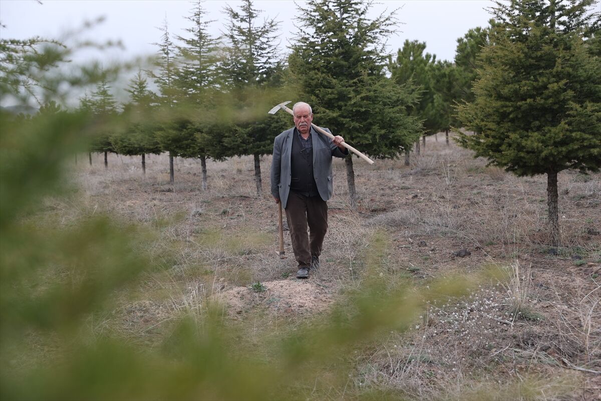 A A 20260419 41150442 41150433 E R D O G A N A M C A D I K T I G I 12 B I N F I D A N L A B O Z K I R I Y E S I L L E B U L U S T U R D U