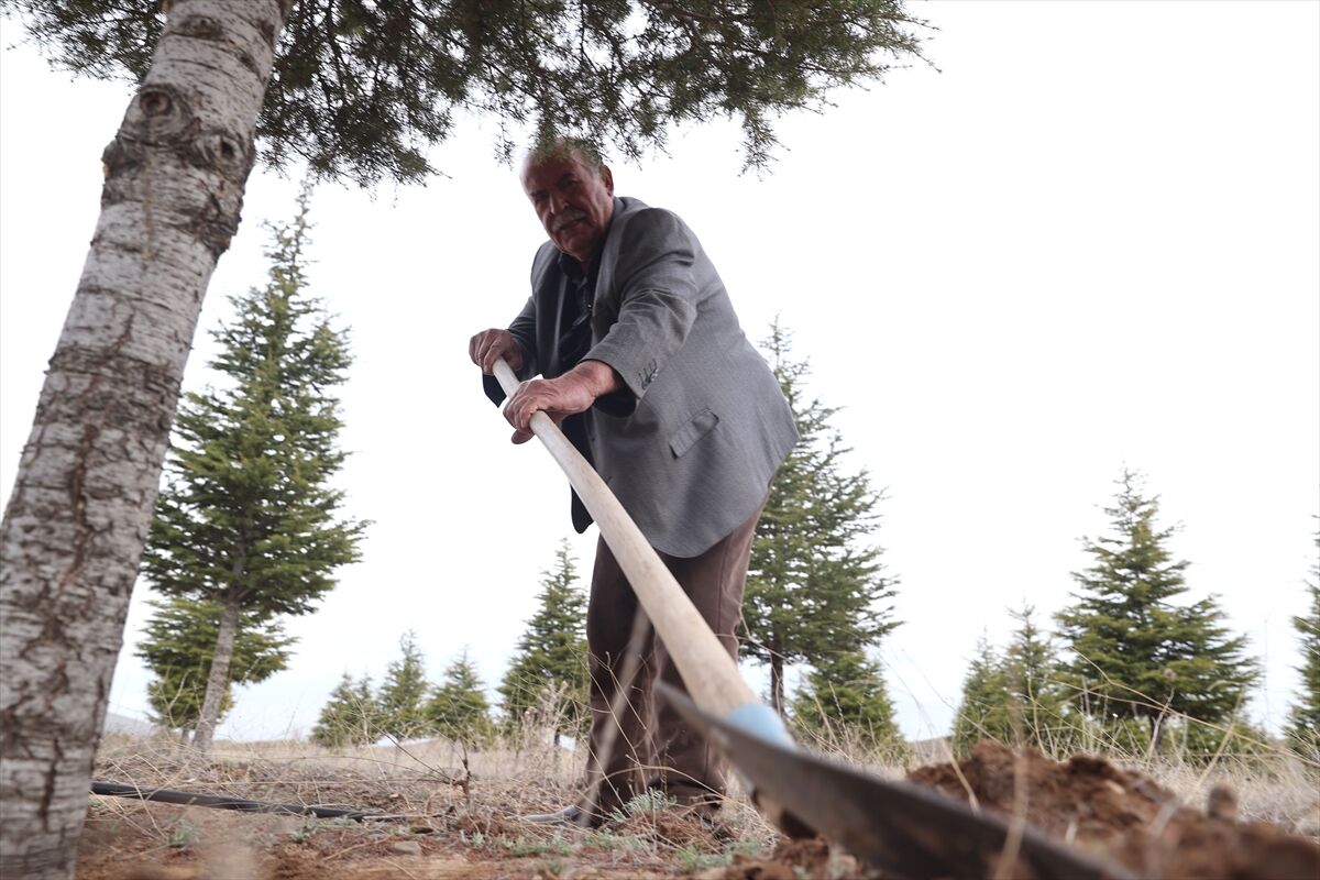 A A 20260419 41150442 41150434 E R D O G A N A M C A D I K T I G I 12 B I N F I D A N L A B O Z K I R I Y E S I L L E B U L U S T U R D U