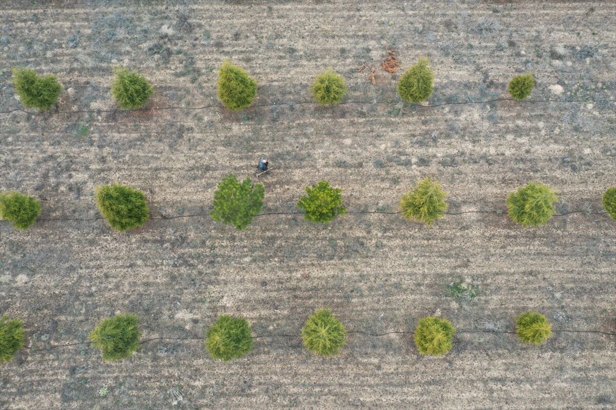 A A 20260419 41150442 41150436 E R D O G A N A M C A D I K T I G I 12 B I N F I D A N L A B O Z K I R I Y E S I L L E B U L U S T U R D U