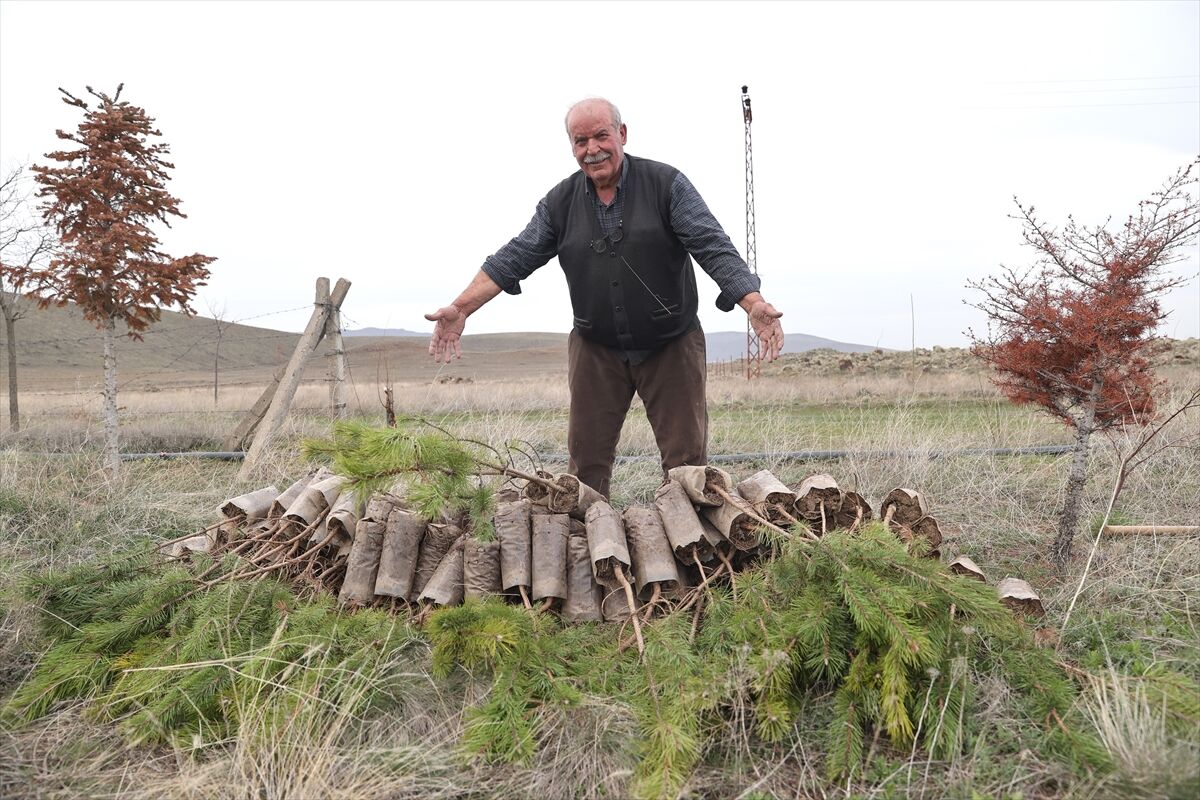 A A 20260419 41150442 41150437 E R D O G A N A M C A D I K T I G I 12 B I N F I D A N L A B O Z K I R I Y E S I L L E B U L U S T U R D U