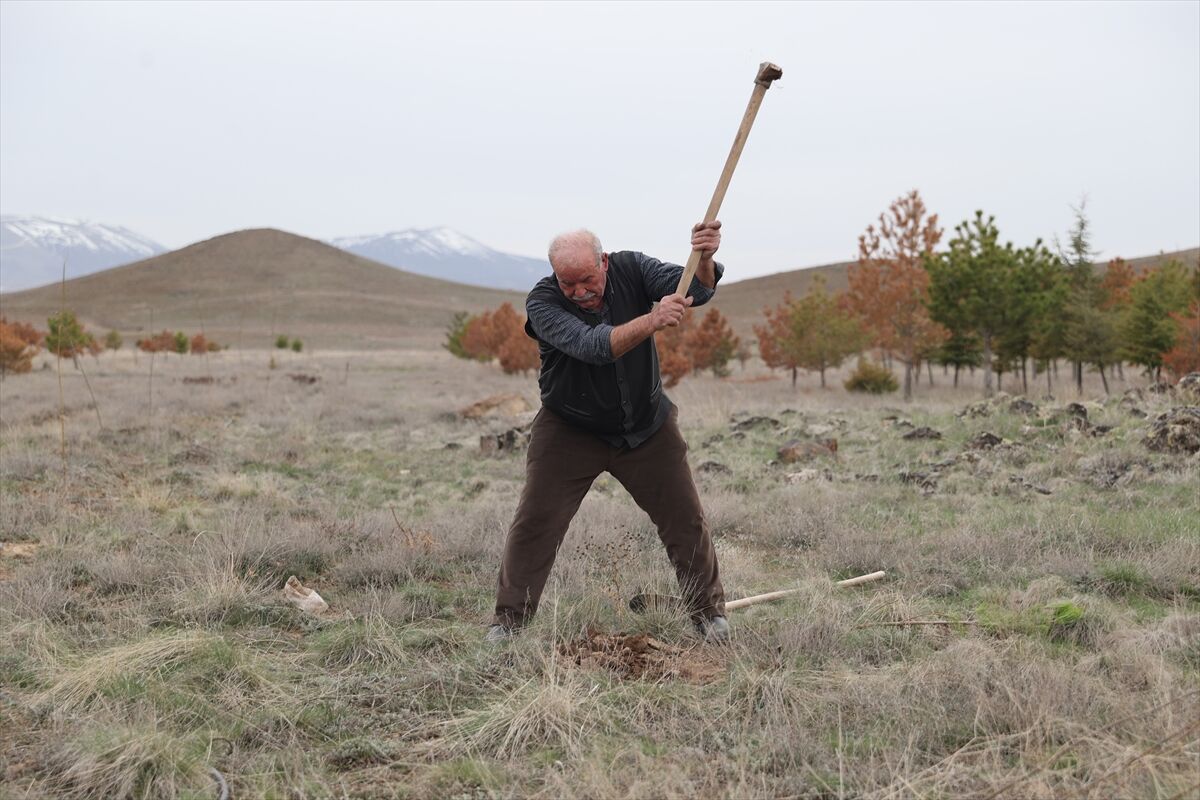 A A 20260419 41150442 41150439 E R D O G A N A M C A D I K T I G I 12 B I N F I D A N L A B O Z K I R I Y E S I L L E B U L U S T U R D U