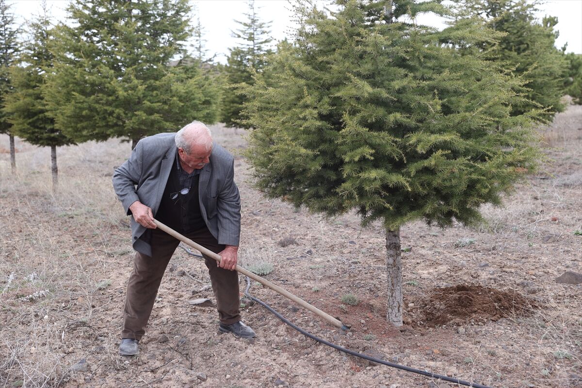 A A 20260419 41150442 41150441 E R D O G A N A M C A D I K T I G I 12 B I N F I D A N L A B O Z K I R I Y E S I L L E B U L U S T U R D U