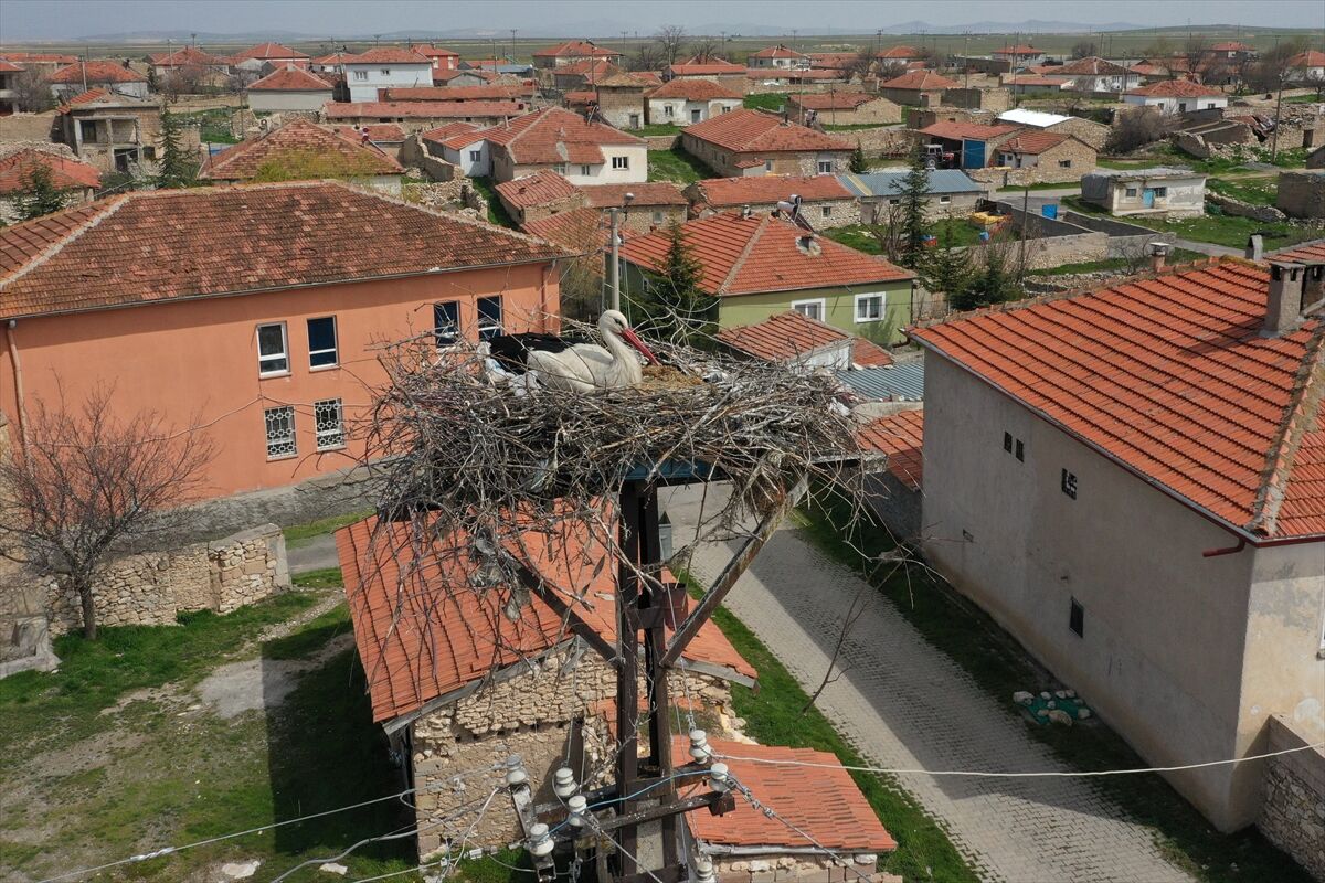 A A 20260421 41167061 41167059 K O Y L E R I N E 7 Y I L D I R G E L E N L E Y L E K L E R G A R I P V E G U R B E T I K A M E R A Y L A T A K I P E D I Y O R L A R