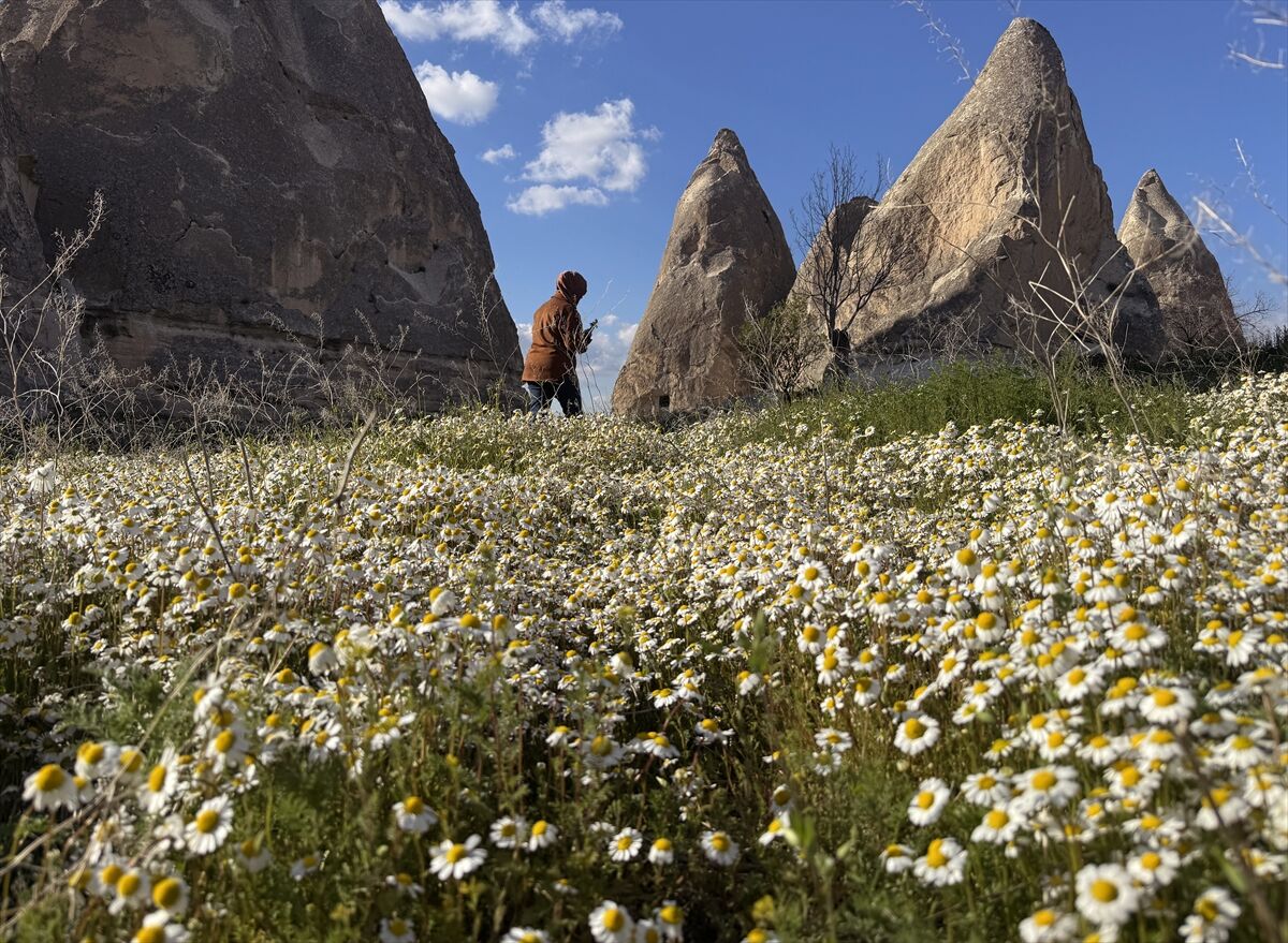 A A 20260422 41179373 41179367 K A P A D O K Y A D A P E R I B A C A L A R I B A H A R D A C I C E K L E R L E B U L U S T U