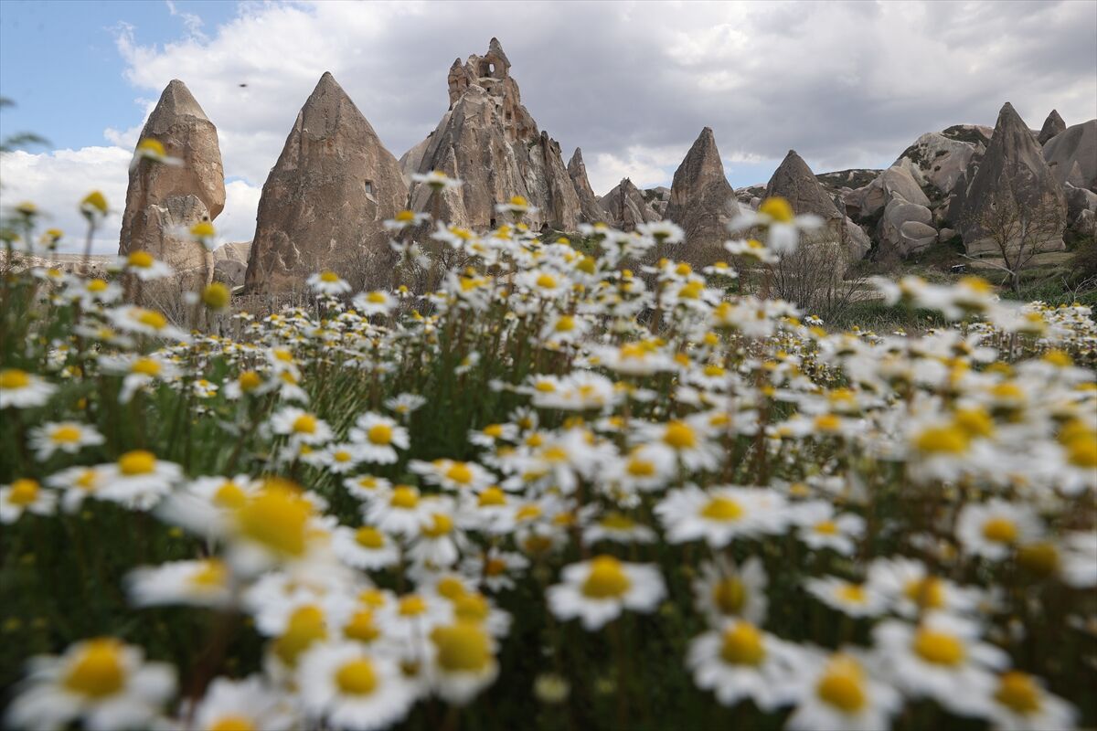 A A 20260422 41179373 41179368 K A P A D O K Y A D A P E R I B A C A L A R I B A H A R D A C I C E K L E R L E B U L U S T U