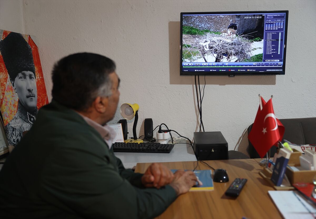 Aa 20260421 41167061 41167056 Koylerine 7 Yildir Gelen Leylekler Garip Ve Gurbeti Kamerayla Takip Ediyorlar (1)