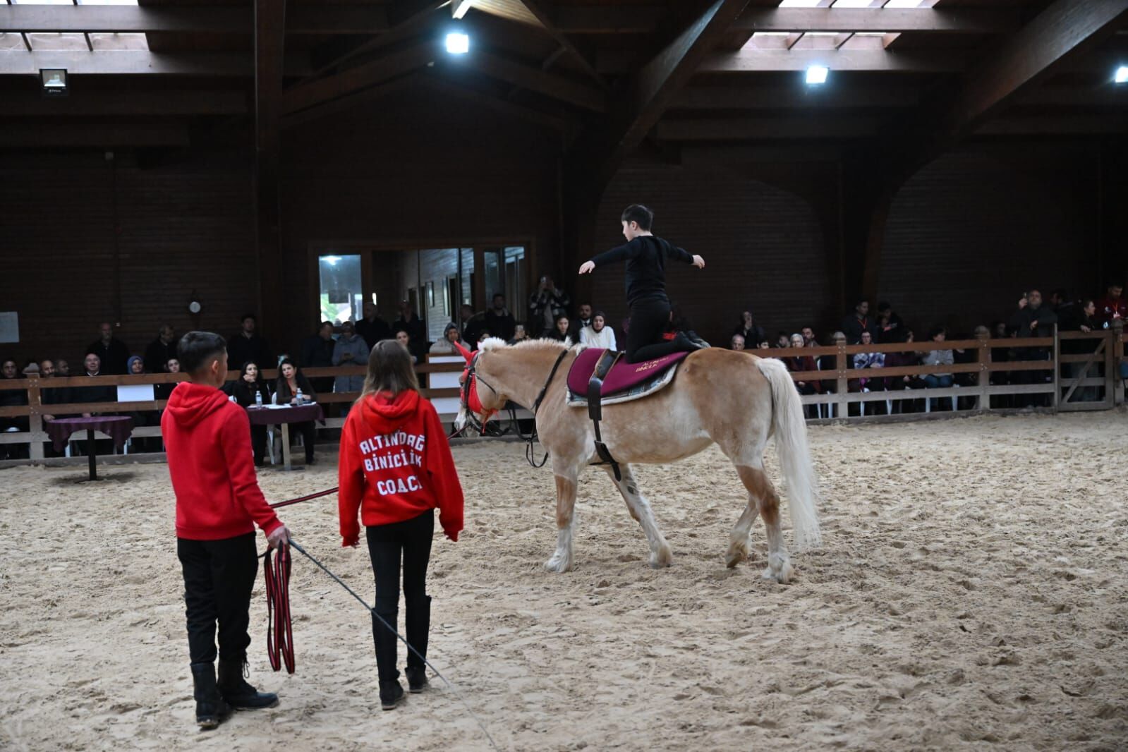 Whatsapp Image 2026 04 03 At 22.19.31