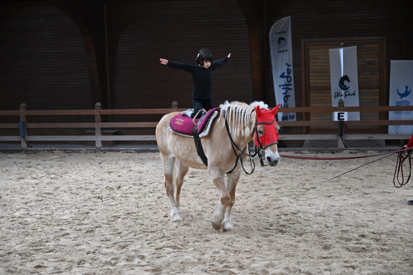 Whatsapp Image 2026 04 03 At 22.19.32 (1)