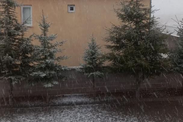 Whatsapp Image 2026 04 08 At 20.32.01