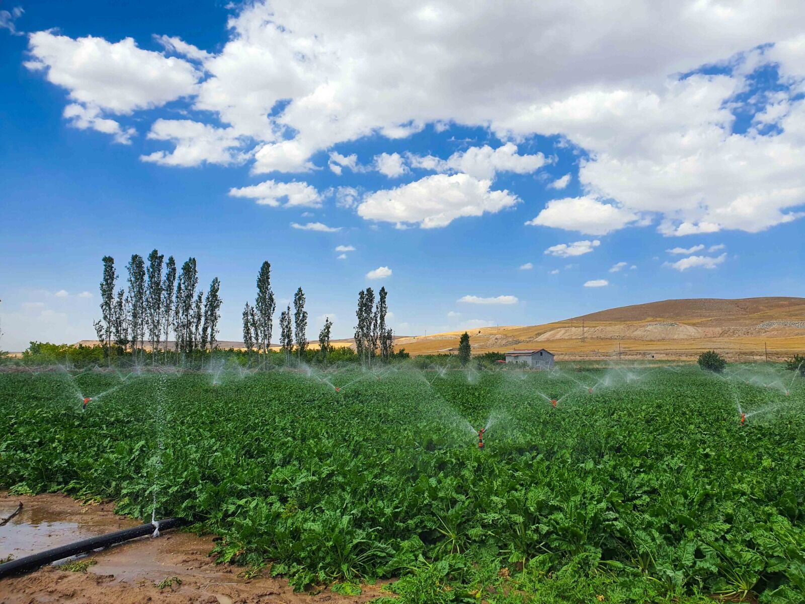 Whatsapp Image 2026 04 09 At 09.50.43 (1)