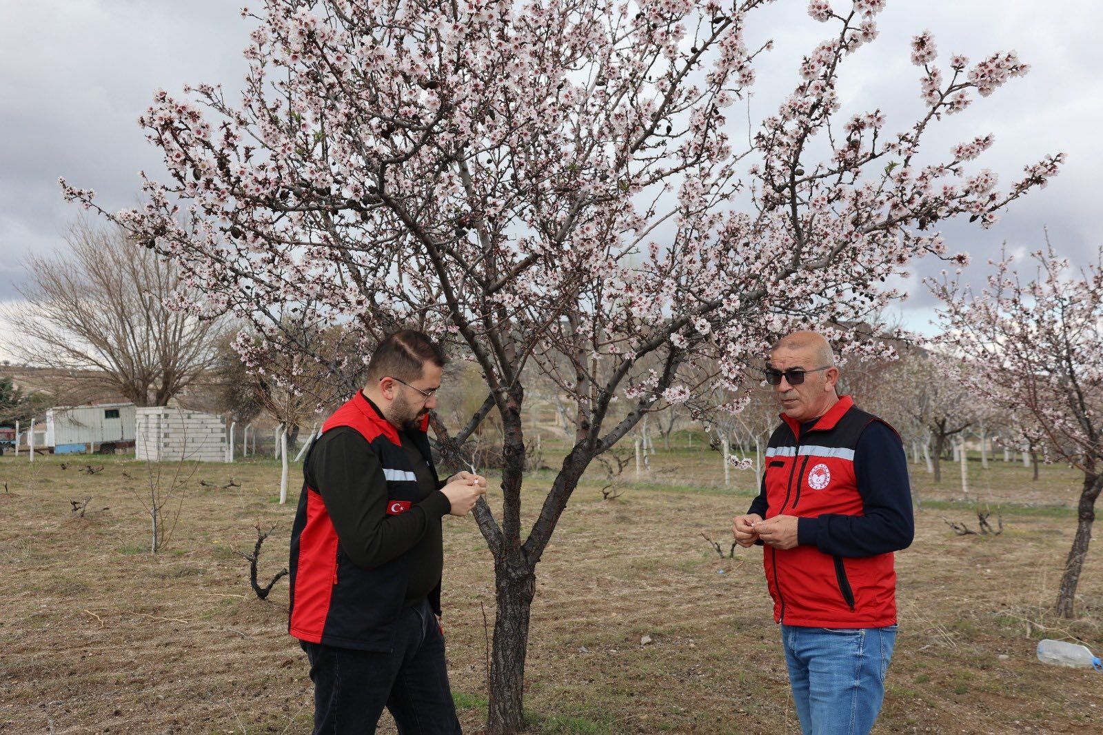 Whatsapp Image 2026 04 11 At 17.54.46