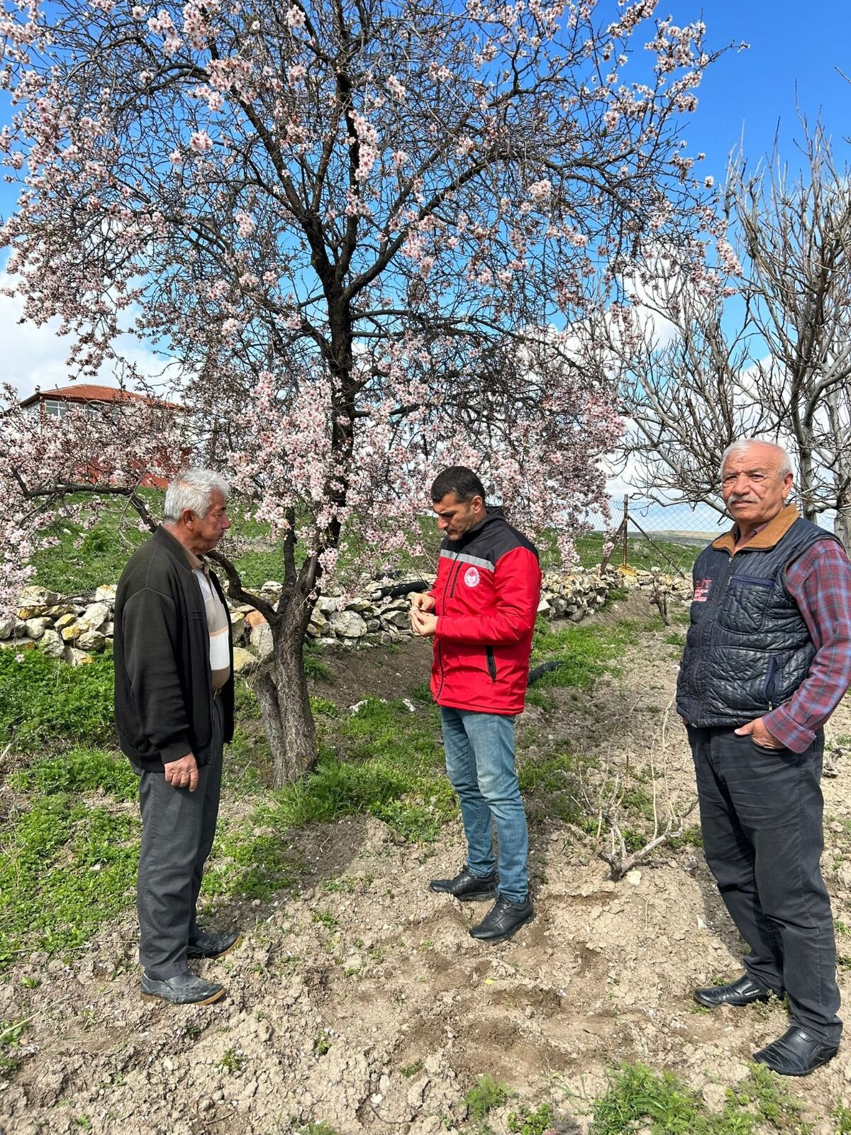 Whatsapp Image 2026 04 11 At 17.54.48 (1)