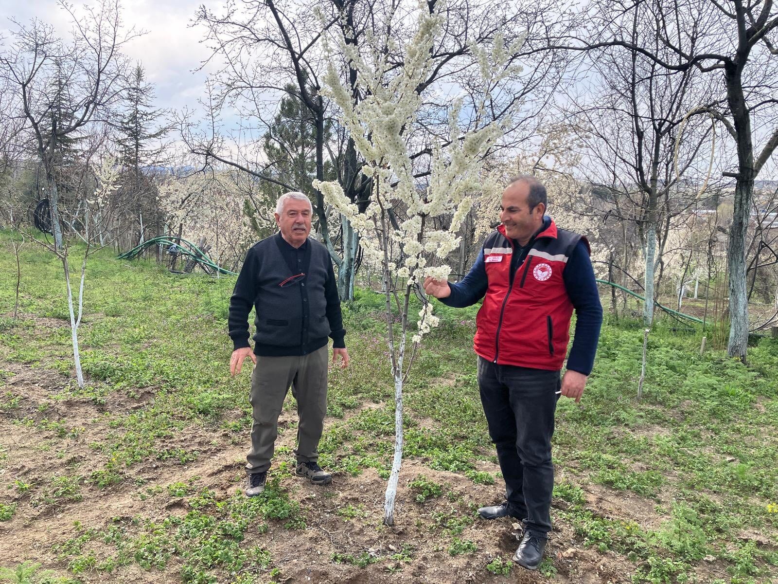 Whatsapp Image 2026 04 11 At 17.54.48