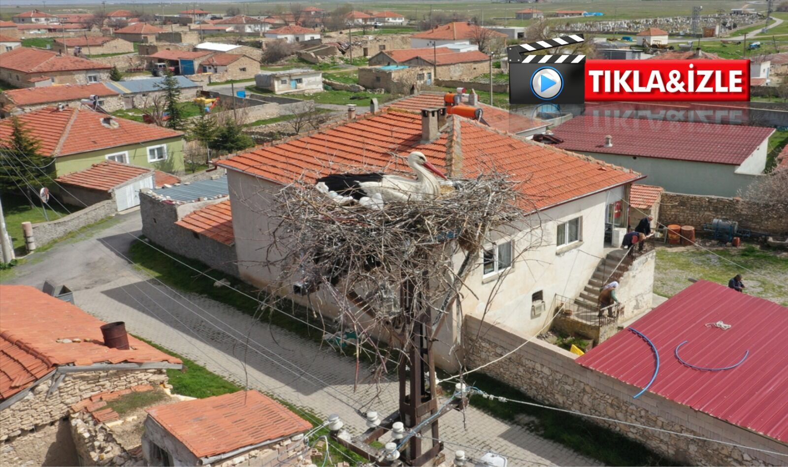 Nevşehir’de 7 yıllık leylek hikâyesi: “Garip” ve “Gurbet” köyün maskotu oldu