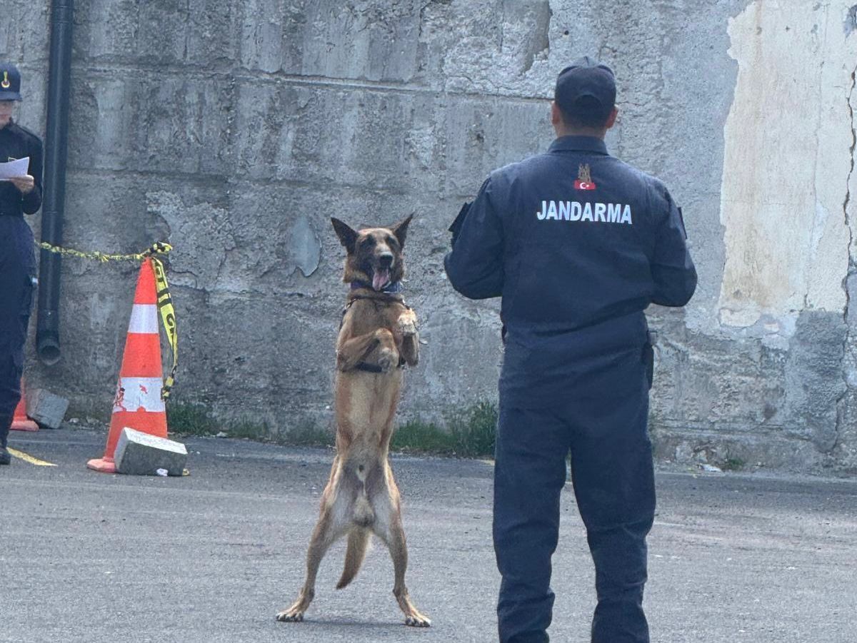 Whatsapp Image 2026 04 29 At 11.15.15 (3)