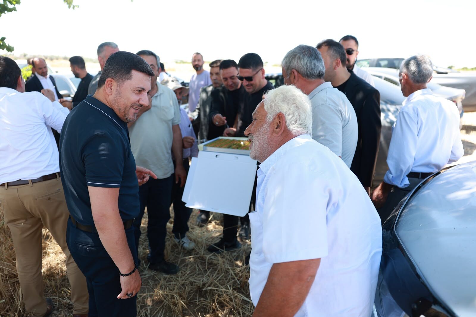 Nev Bel Buğday Hasadi 004