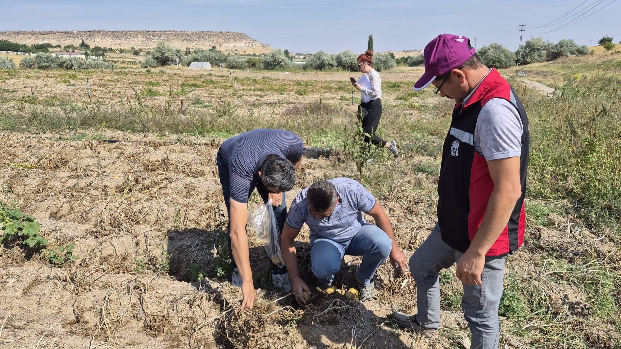 Nevşehir tarım arazisinde kontrol: Ürünlerden numune alındı