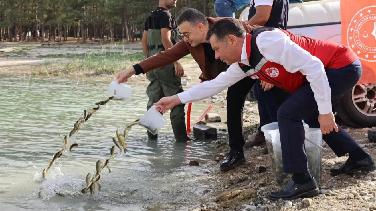 Nevşehir’in su kaynaklarına dev takviye: 725 bin sazan salındı