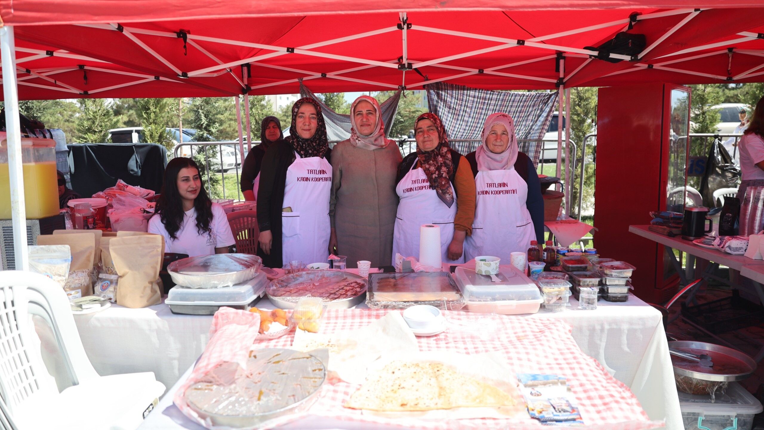 Nev Bel Mi̇ni̇fest Cappadoci̇a 001 (16)