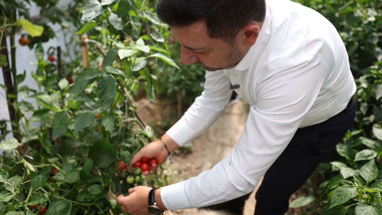 Nev Bel Sera Zi̇yareti̇ 003