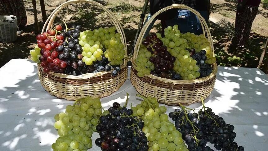 Üzüm için kritik toplantı: Üreticinin beklediği fiyat gelecek mi?