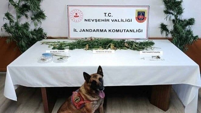 Nevşehir’de narkotik operasyonu: Kilolarca esrar ele geçirildi