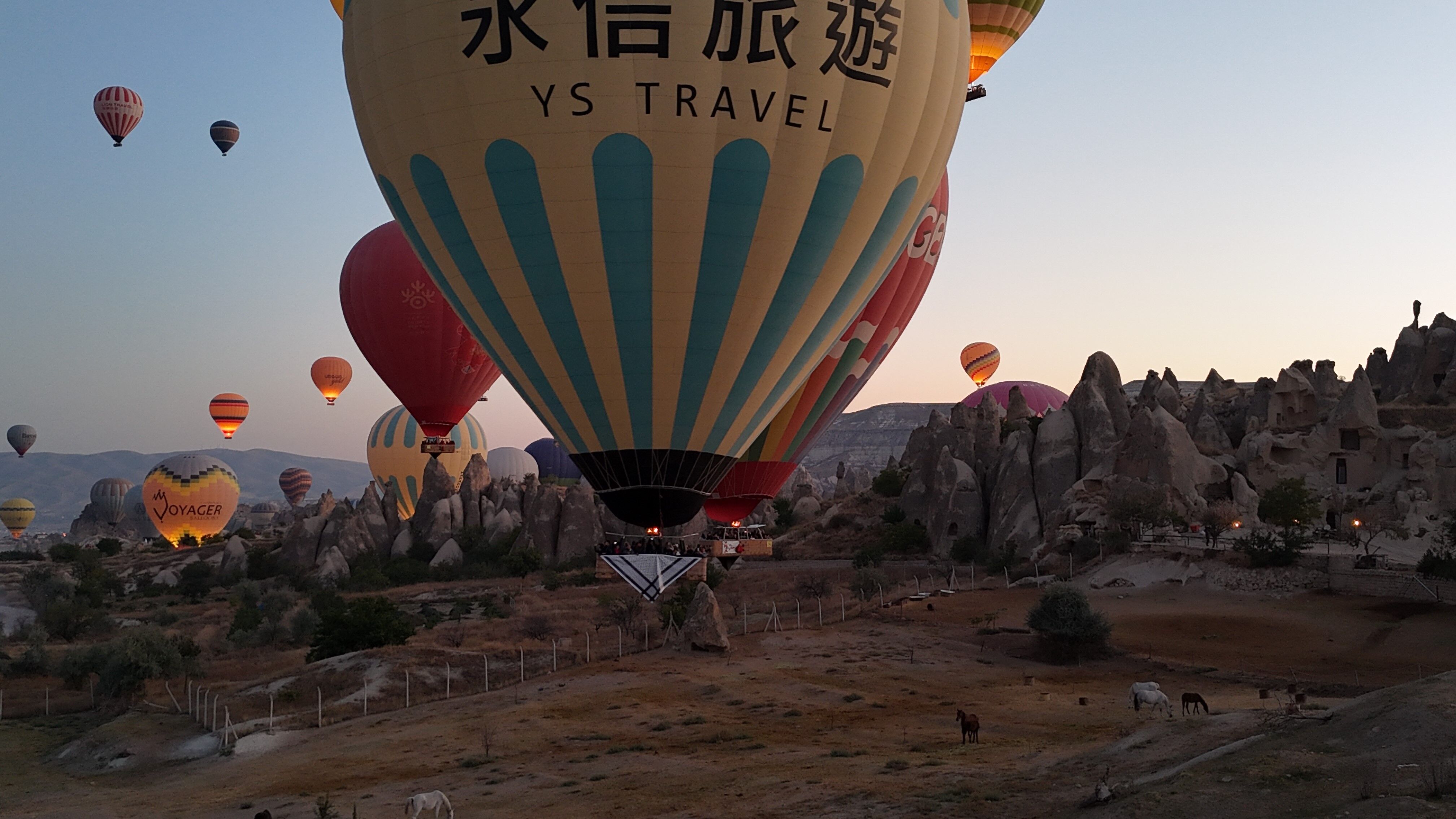A W806694 05